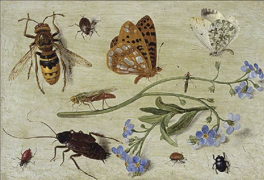 Painting of insects and flowers, 17th century, Jan van Kessel the Elder. Public domain.